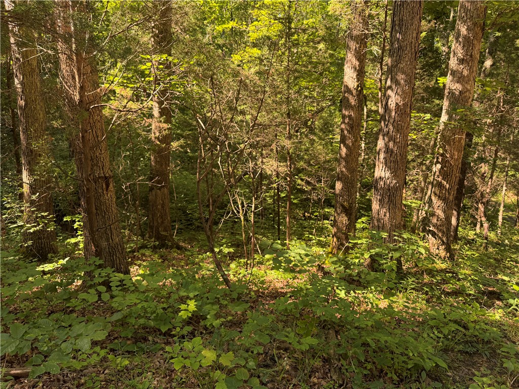 1897 Chestnut Ridge Road West Union, OH 45693 - Photo 42 of 61
