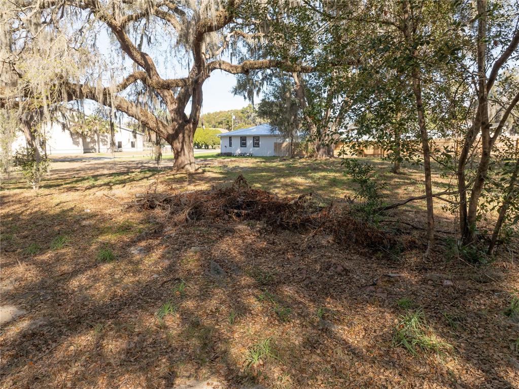 100 South Old Wire Road Wildwood, FL 34785 - Photo 11 of 16 a view of yard with tree and wooden fence