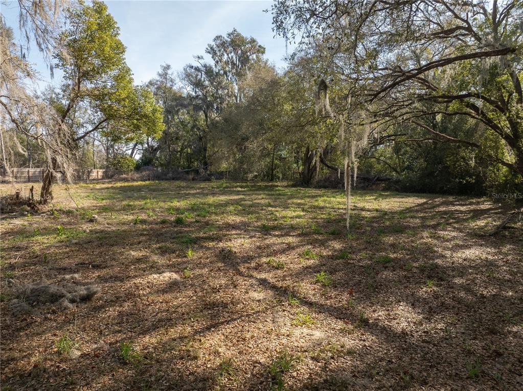 100 South Old Wire Road Wildwood, FL 34785 - Photo 12 of 16 a yard with a trees