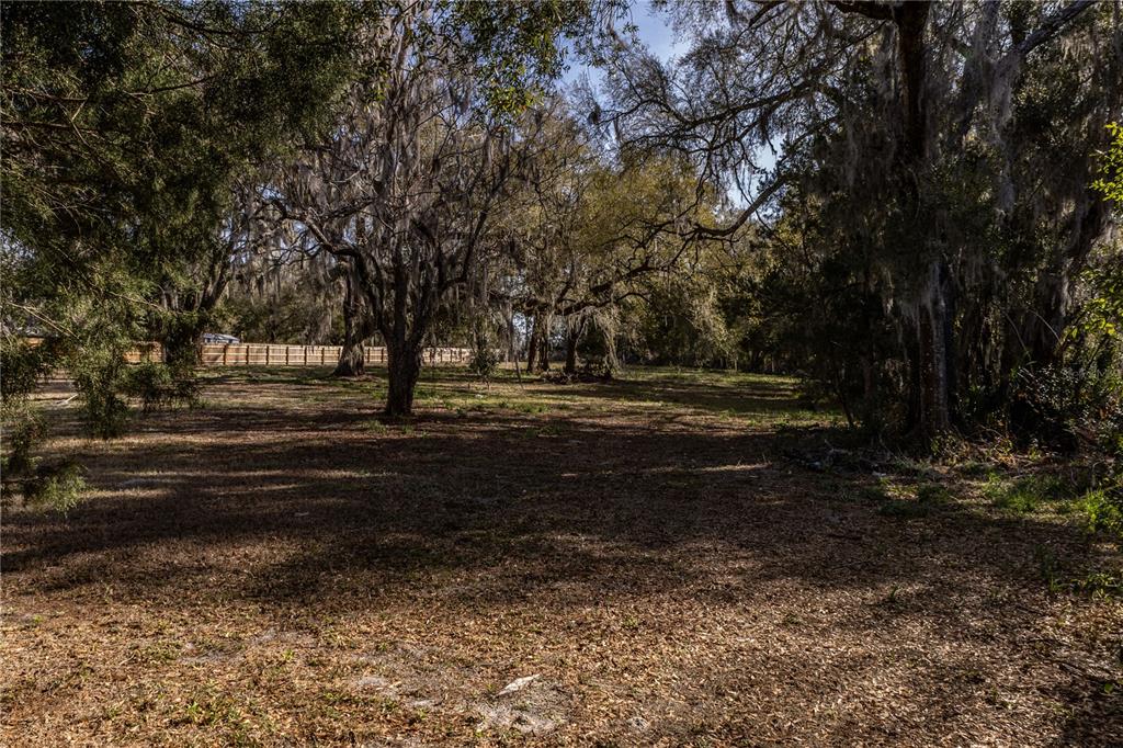 100 South Old Wire Road Wildwood, FL 34785 - Photo 3 of 16 a view of backyard with green space