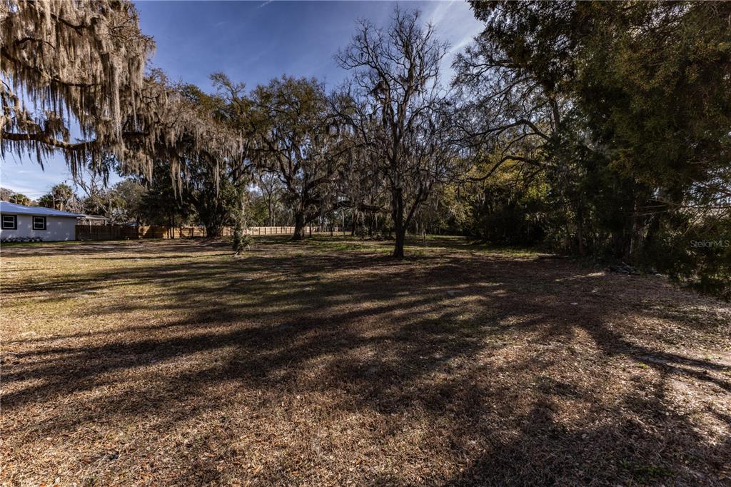 100 South Old Wire Road Wildwood, FL 34785 - Photo 4 of 16 a view of outdoor space with green space