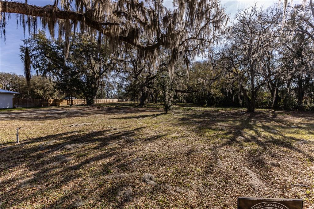100 South Old Wire Road Wildwood, FL 34785 - Photo 5 of 16 a view of outdoor space with trees