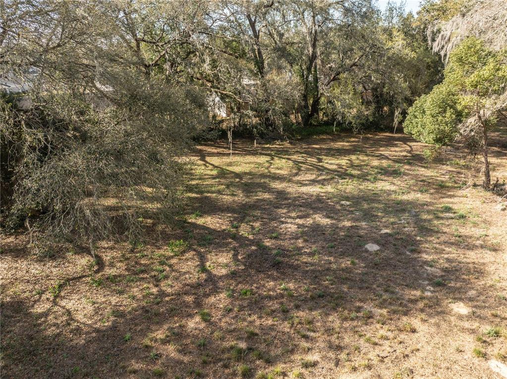 100 South Old Wire Road Wildwood, FL 34785 - Photo 7 of 16 a view of a yard with a tree