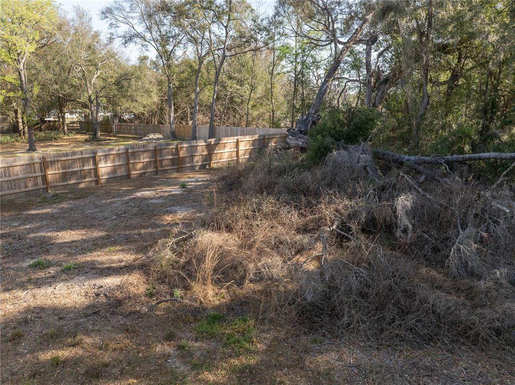 100 South Old Wire Road Wildwood, FL 34785 - Photo 8 of 16 a view of a forest with trees