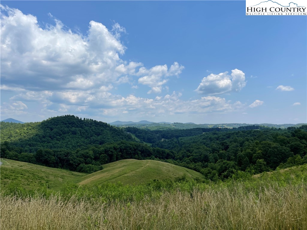 a view of a bunch of trees in a field