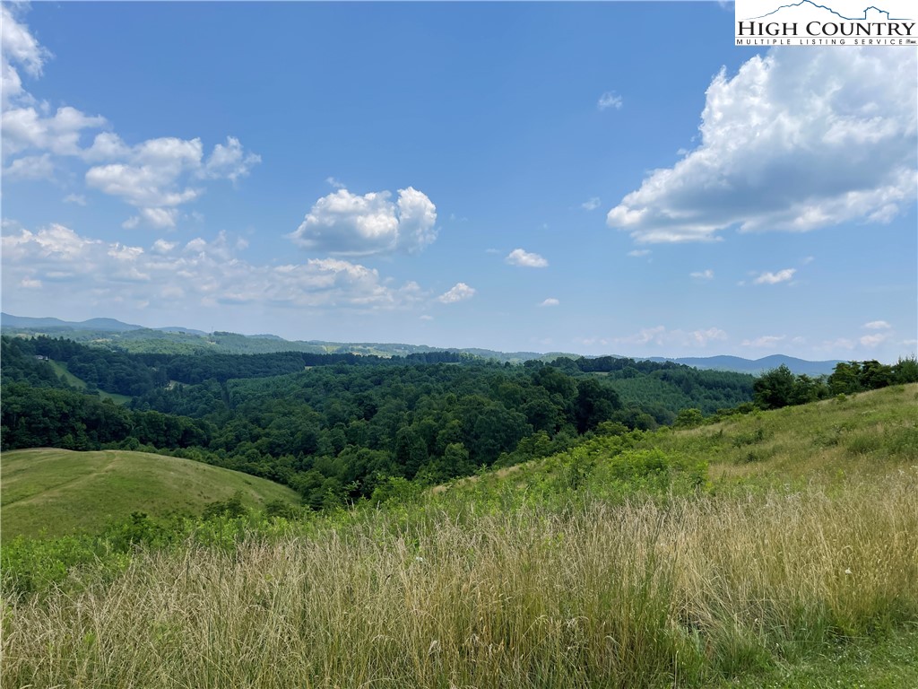 Lot 3 Skye Ridge Drive West Jefferson, NC 28694 - Photo 2 of 17 a view of a lush green space