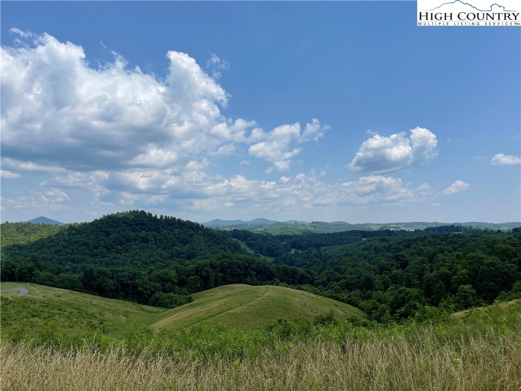 Lot 3 Skye Ridge Drive West Jefferson, NC 28694 - Photo 3 of 17 a view of a bunch of trees in background