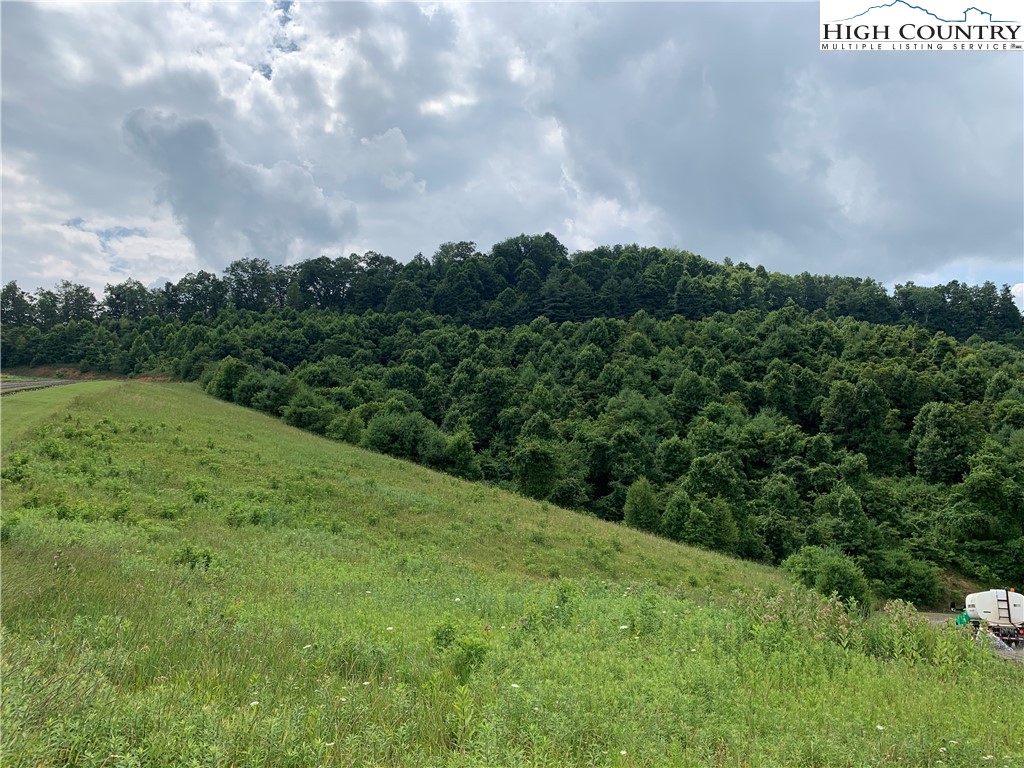 Lot 3 Skye Ridge Drive West Jefferson, NC 28694 - Photo 4 of 17 a view of a big yard with plants and large trees