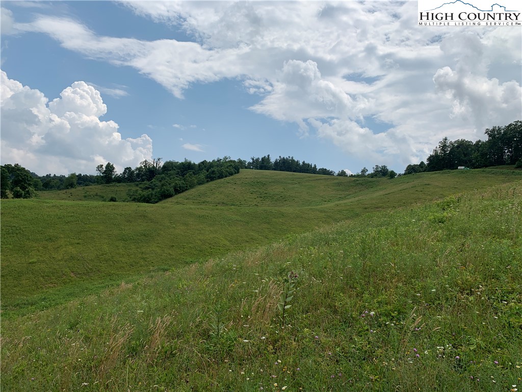 Lot 3 Skye Ridge Drive West Jefferson, NC 28694 - Photo 5 of 17 a view of a big yard with a house