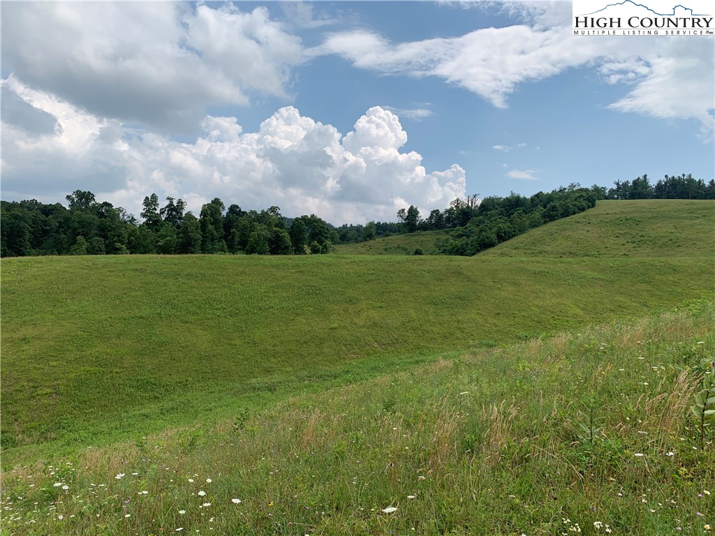 Lot 3 Skye Ridge Drive West Jefferson, NC 28694 - Photo 6 of 17 a view of an outdoor space and yard