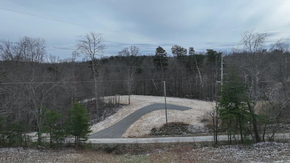 0 Holbrook Road Beaver, OH 45613 - Photo 2 of 12