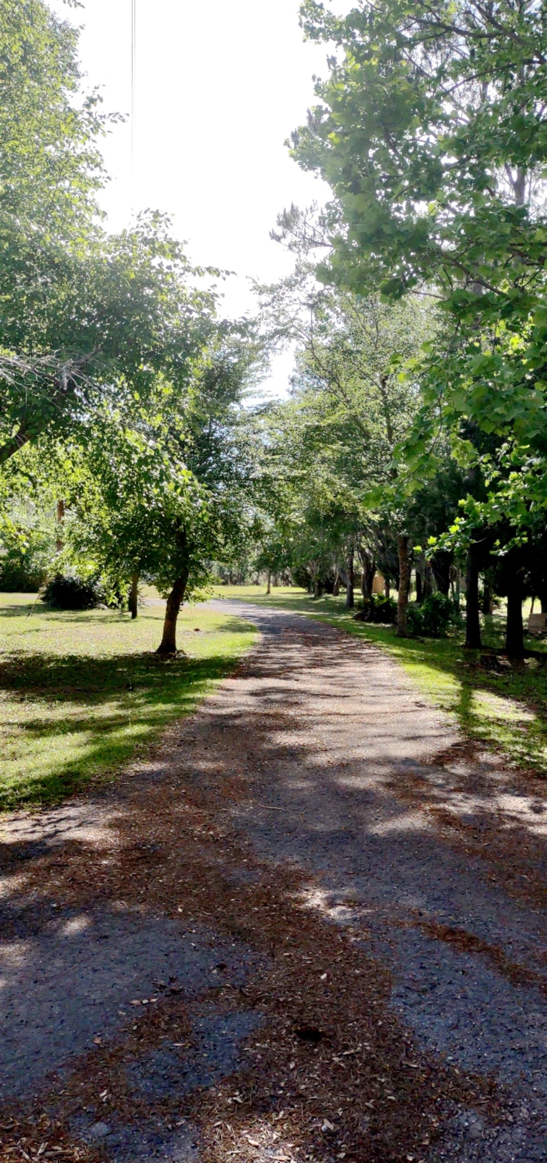 3585 Preston Sheffield Road Perry, FL 32347 - Photo 19 of 32 Gallery Image 19