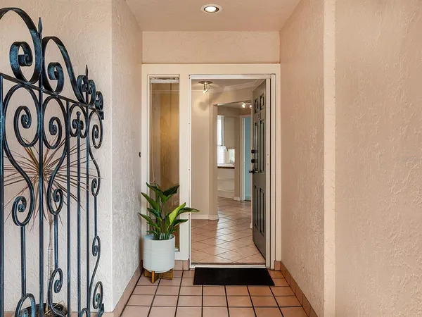 a view of a hallway to a potted plant
