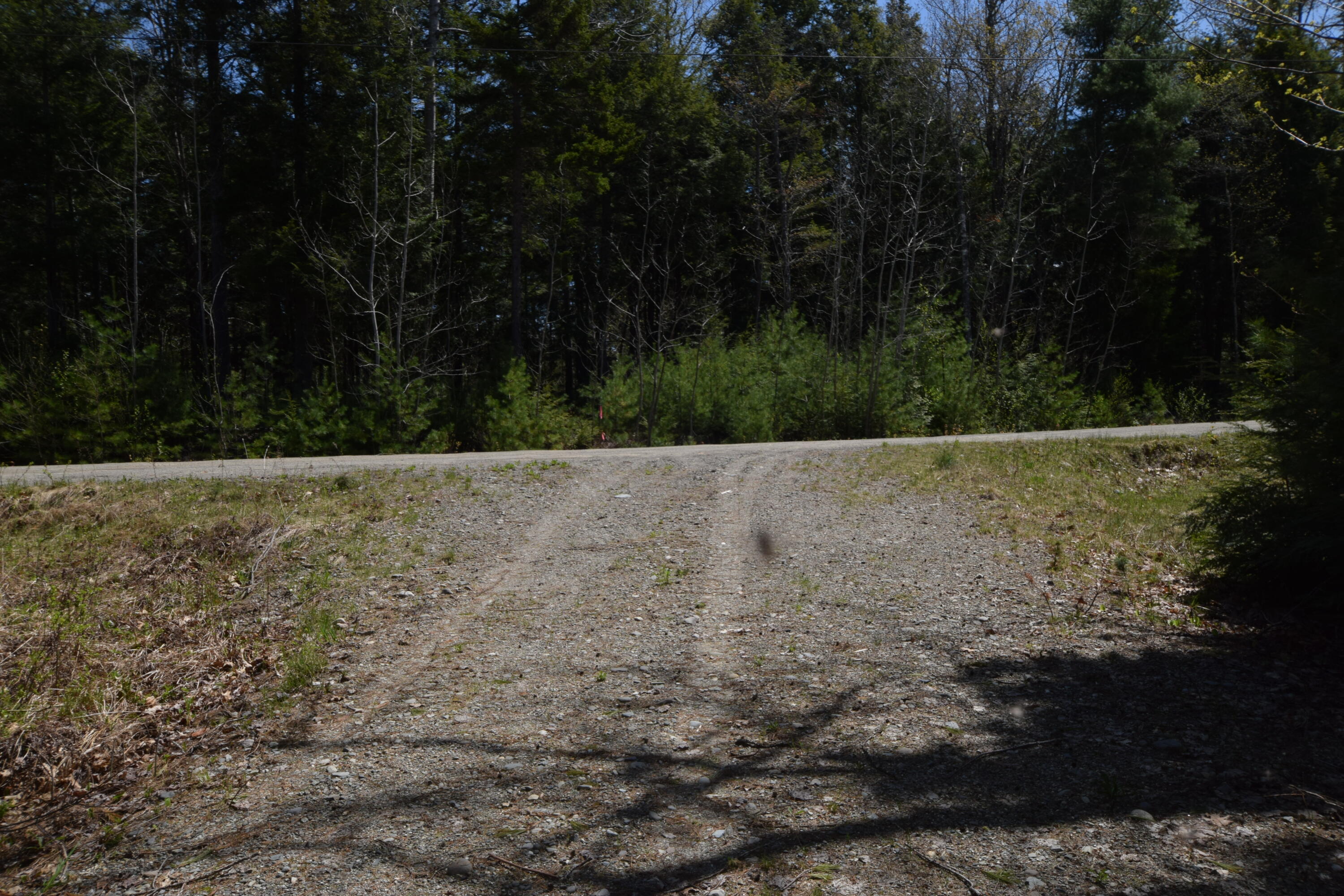 Lot#13 Peaceful Point Road Ellsworth, ME 04605 - Photo 27 of 45 Driveway into Property...