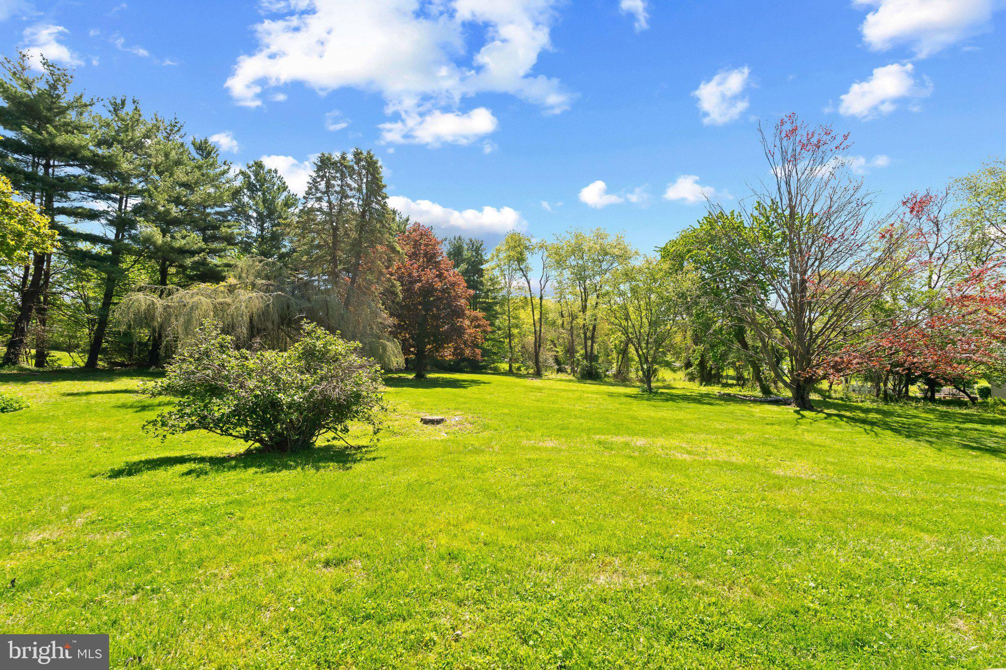 5422 Woodbine Road Woodbine, MD 21797 - Photo 39 of 39 Lush green oasis under a blue sky.