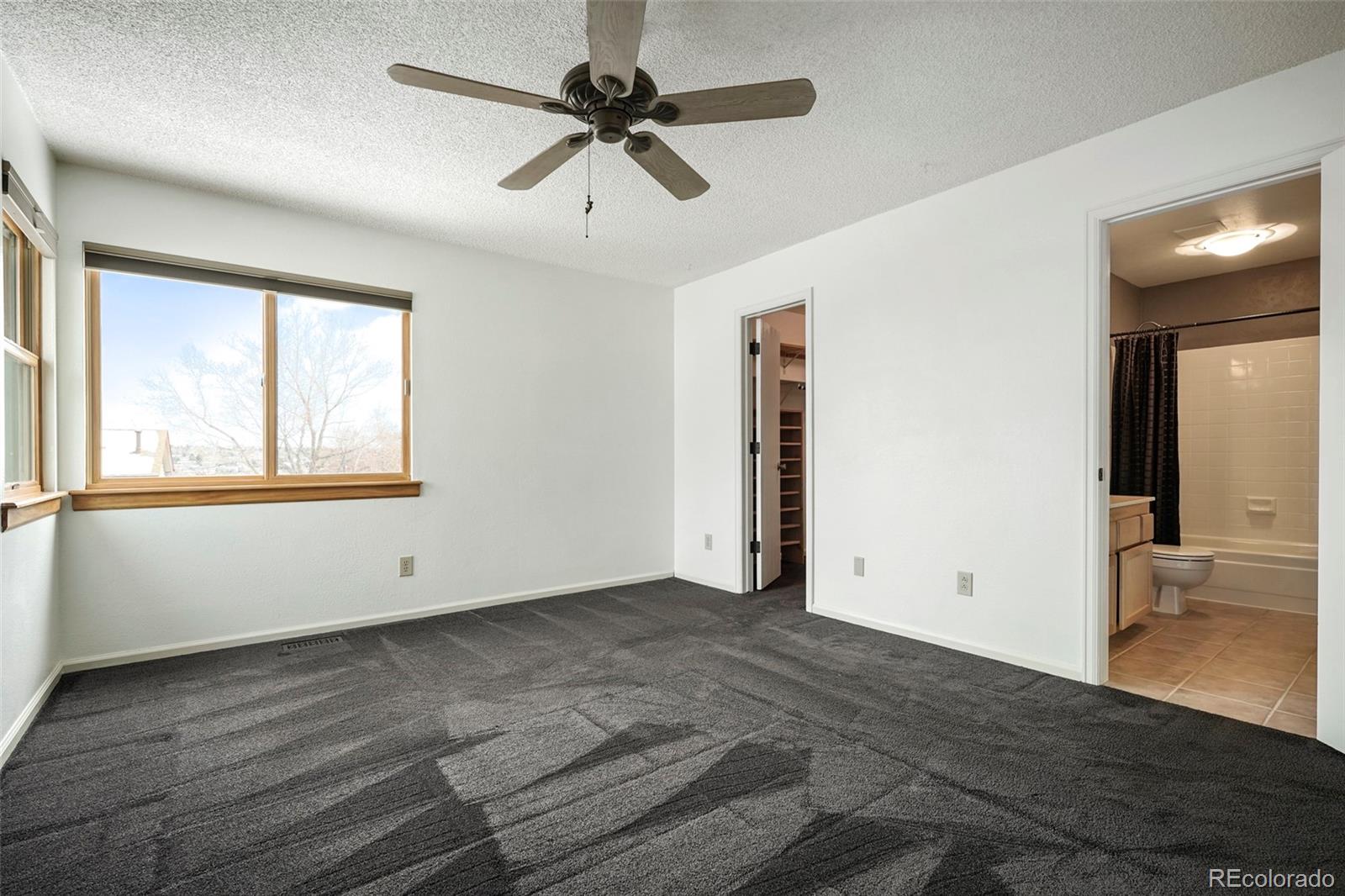 553 Timberline Place Highlands Ranch, CO 80126 - Photo 16 of 35 Gallery Image 16