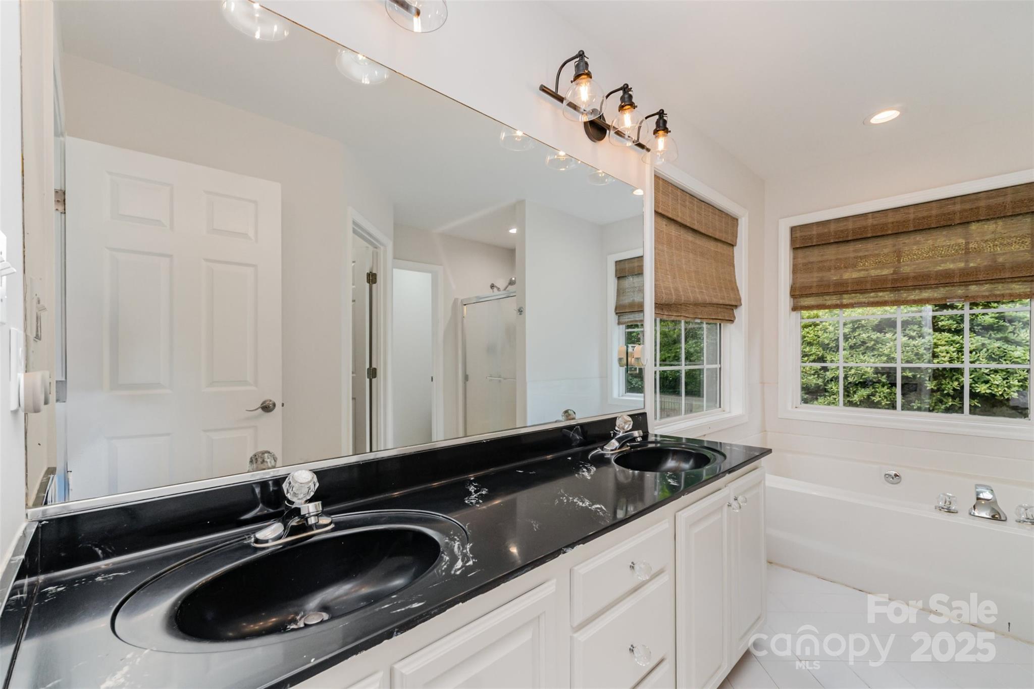 125 Stumpy Creek Road Mooresville, NC 28117 - Photo 12 of 23 a bathroom with a sink double vanity and a bathtub
