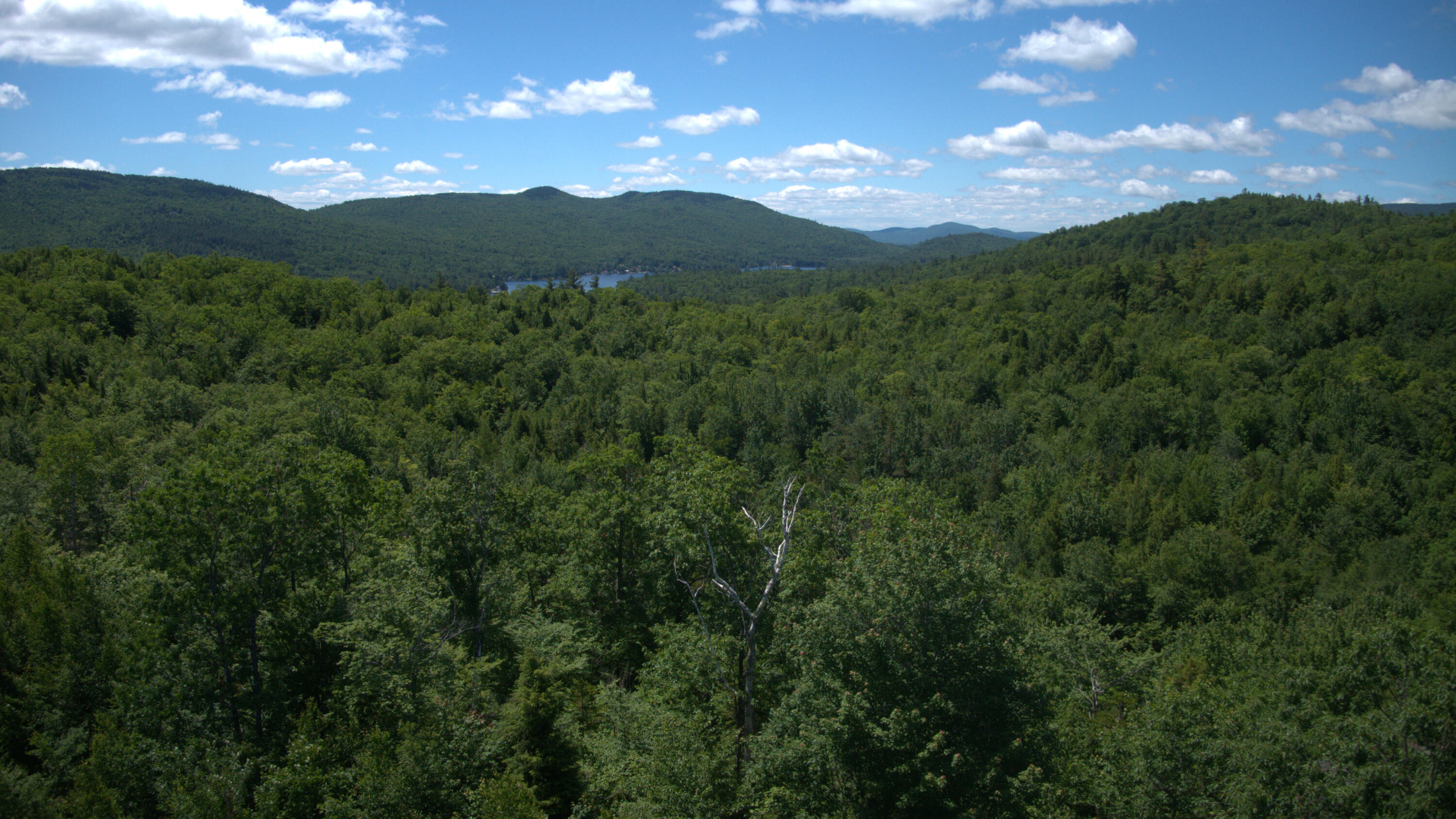 27 Greenwoods Road Peru, ME 04290 - Photo 20 of 37 DJI_0040