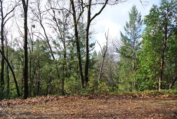 a view of outdoor space and green space