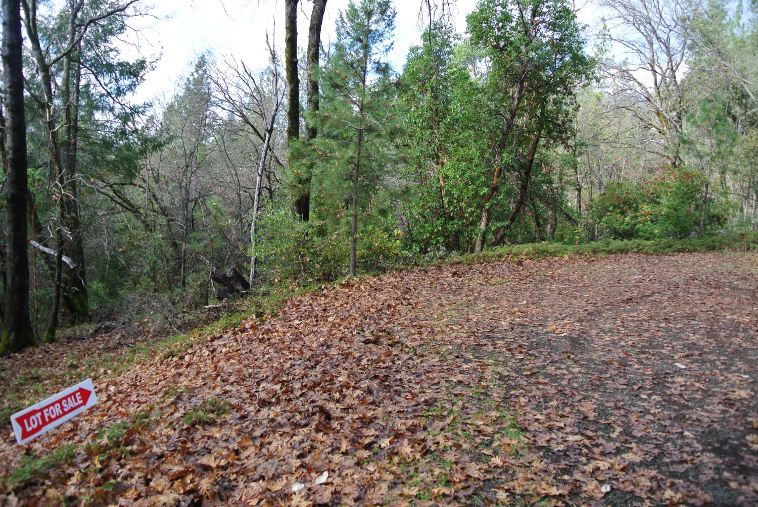 5588 Pine Ridge Road Foresthill, CA 95631 - Photo 7 of 8