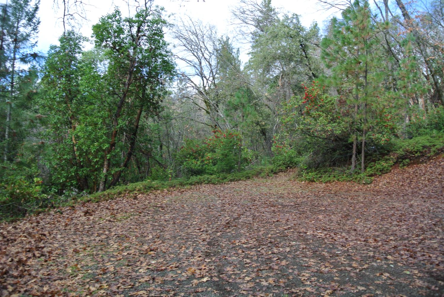 5588 Pine Ridge Road Foresthill, CA 95631 - Photo 8 of 8