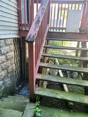 a view of a tree in the middle of a yard