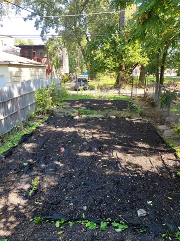 a view of a house with a yard and large tree