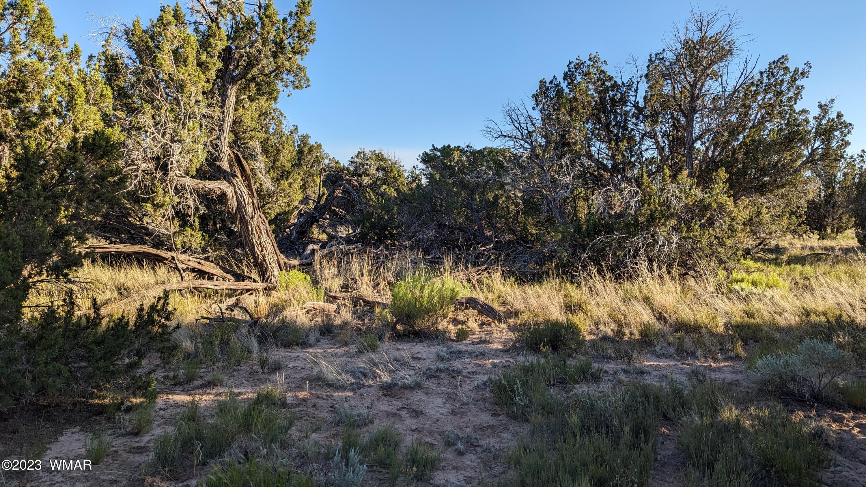 Lot 84 Horizon Ranch St. Johns, AZ 85936 - Photo 44 of 79