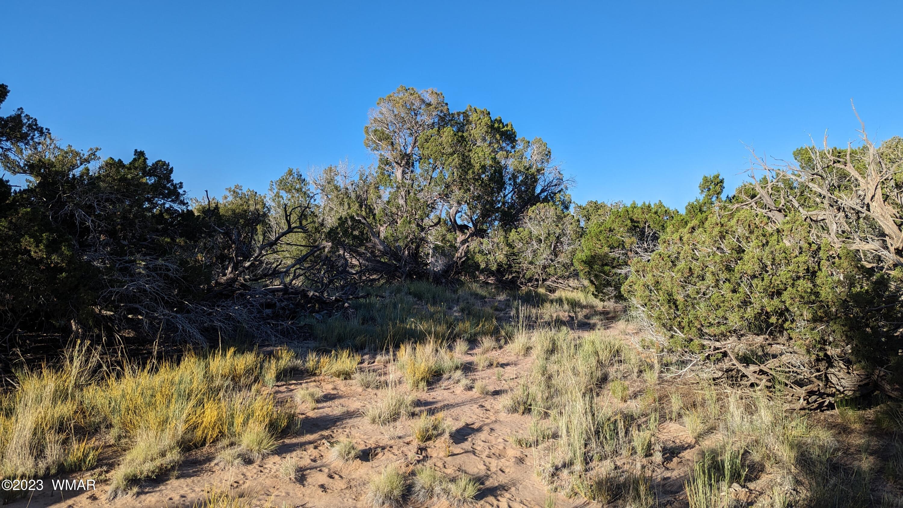 Lot 84 Horizon Ranch St. Johns, AZ 85936 - Photo 46 of 79
