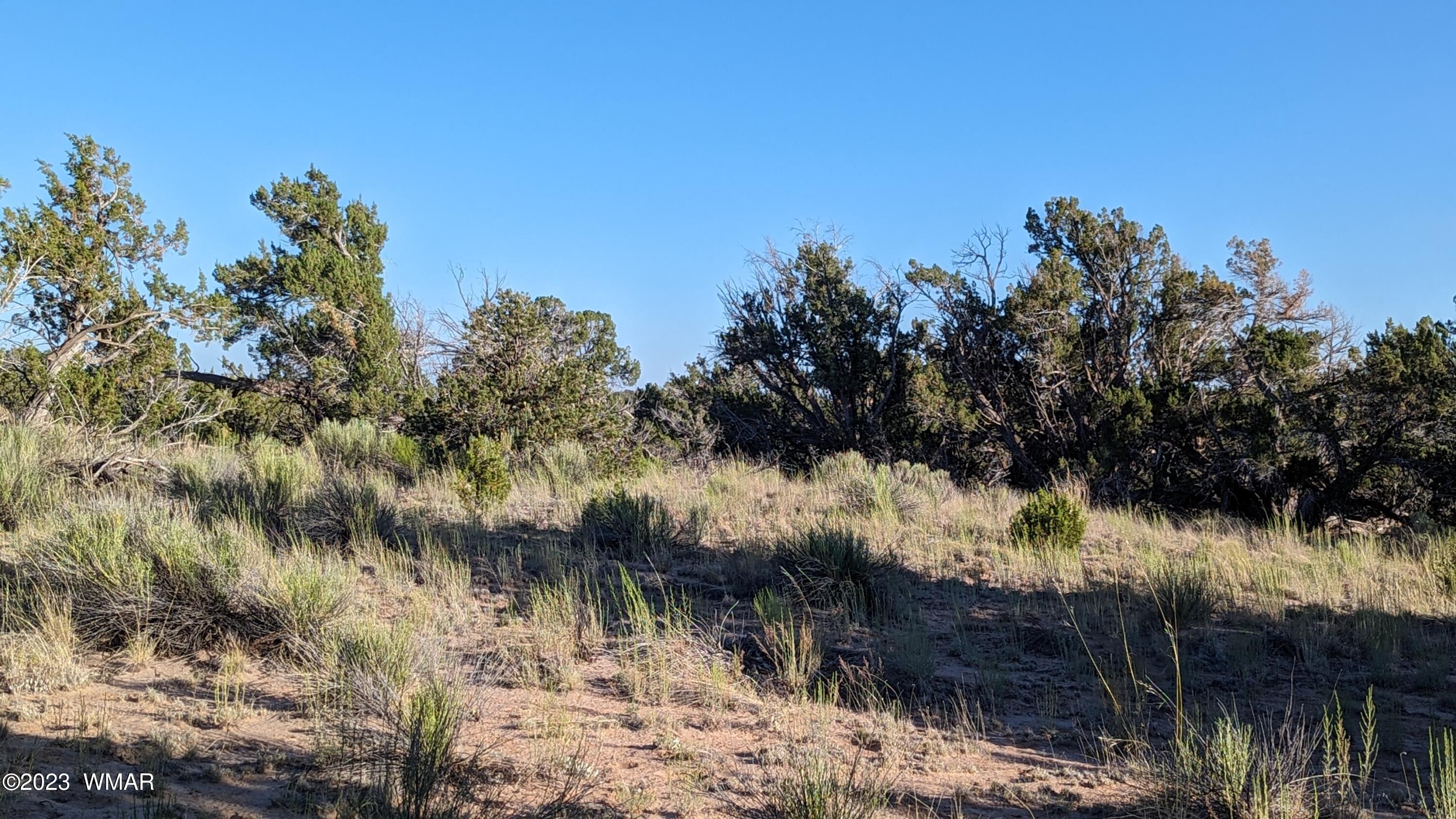 Lot 84 Horizon Ranch St. Johns, AZ 85936 - Photo 50 of 79