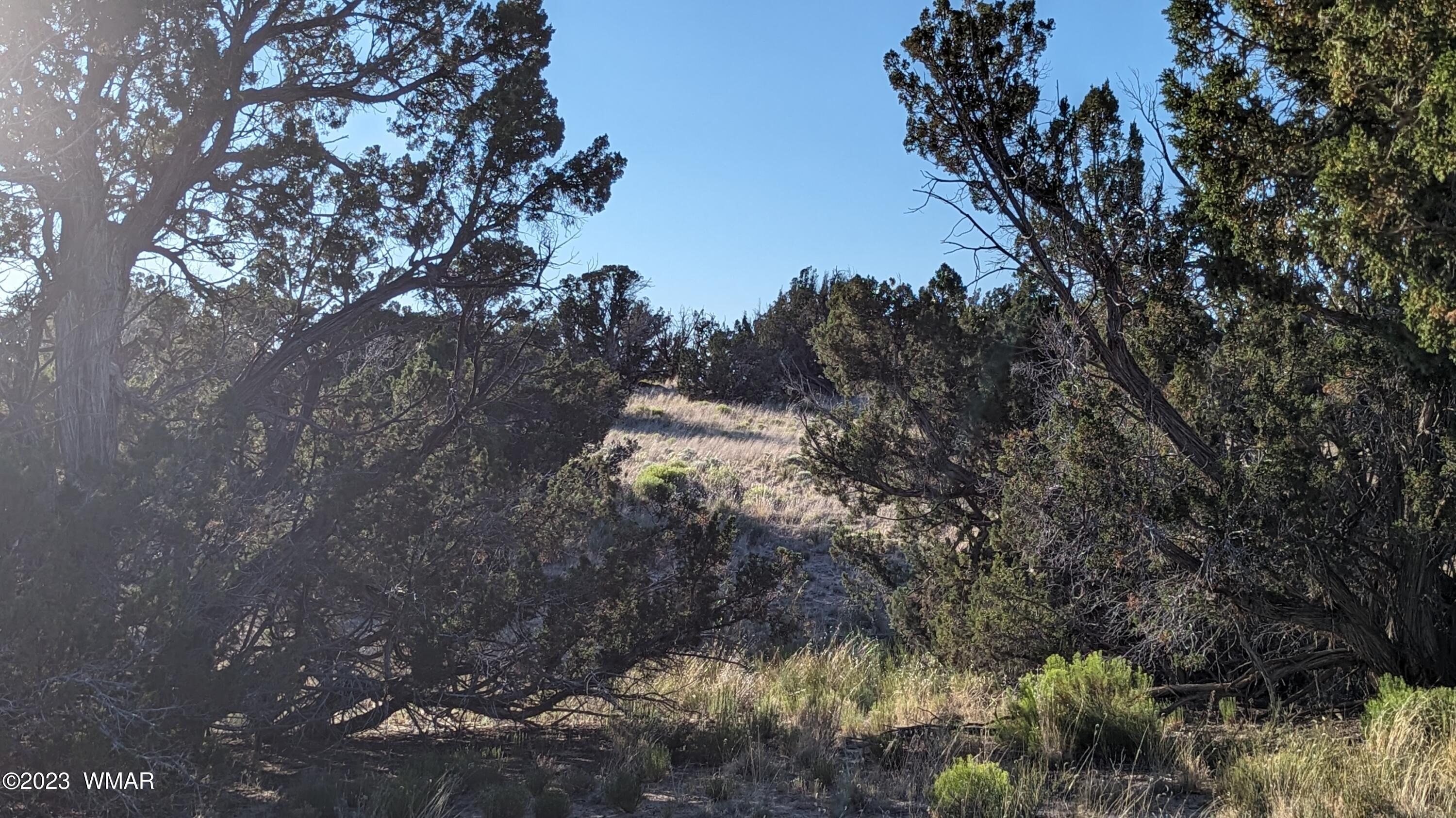Lot 84 Horizon Ranch St. Johns, AZ 85936 - Photo 51 of 79