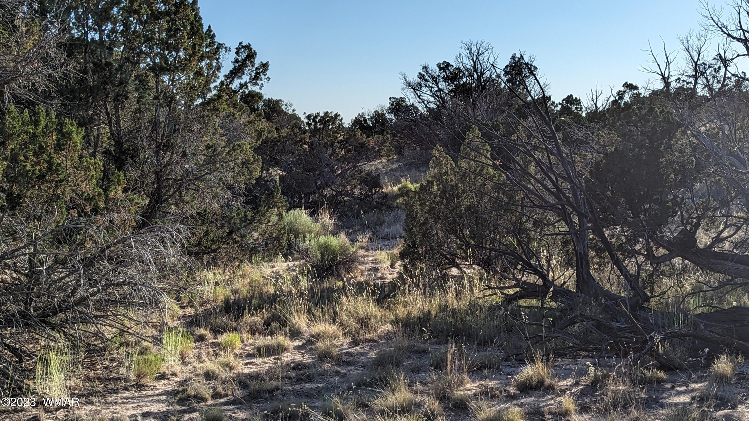 Lot 84 Horizon Ranch St. Johns, AZ 85936 - Photo 52 of 79