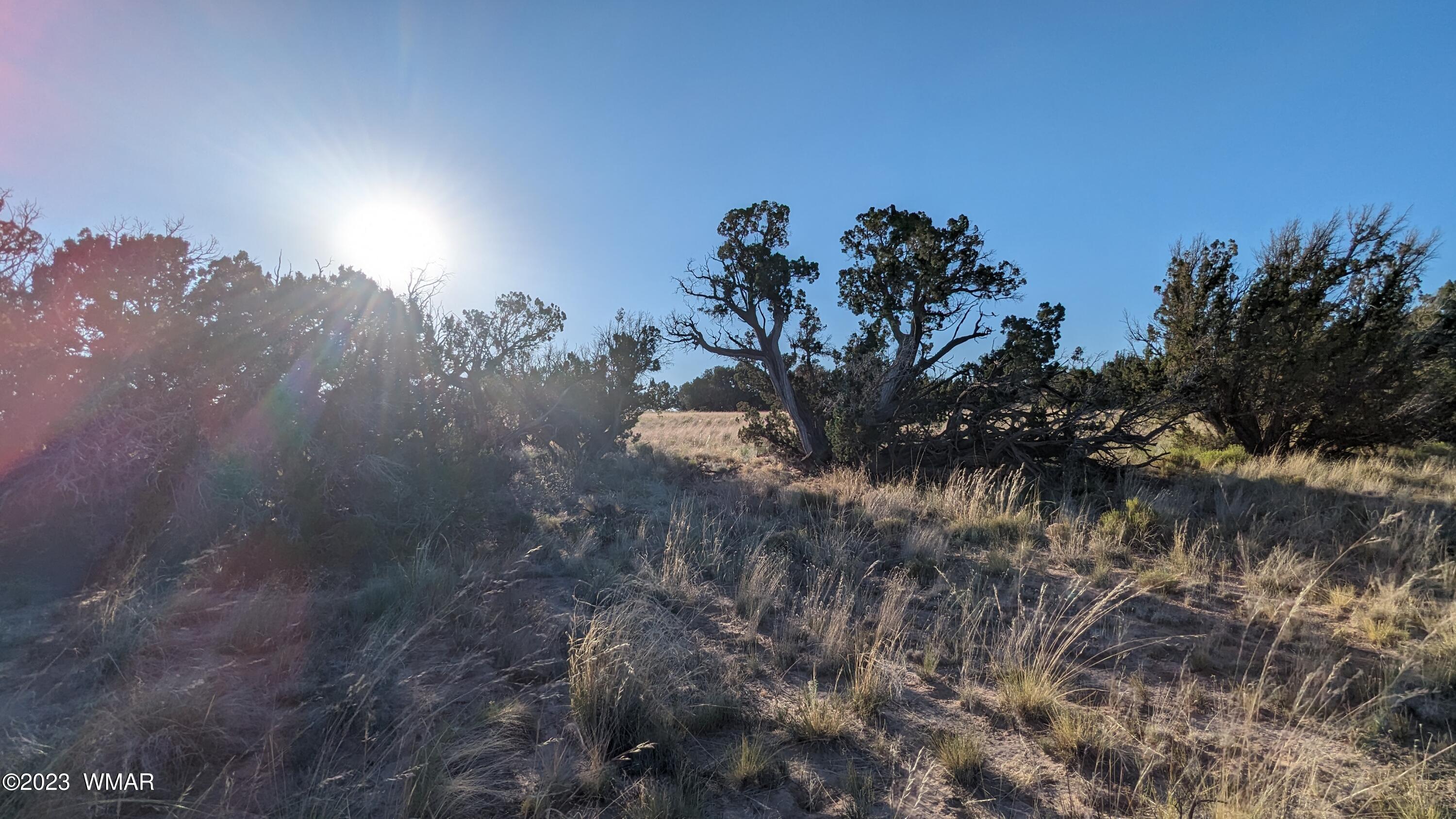 Lot 84 Horizon Ranch St. Johns, AZ 85936 - Photo 54 of 79