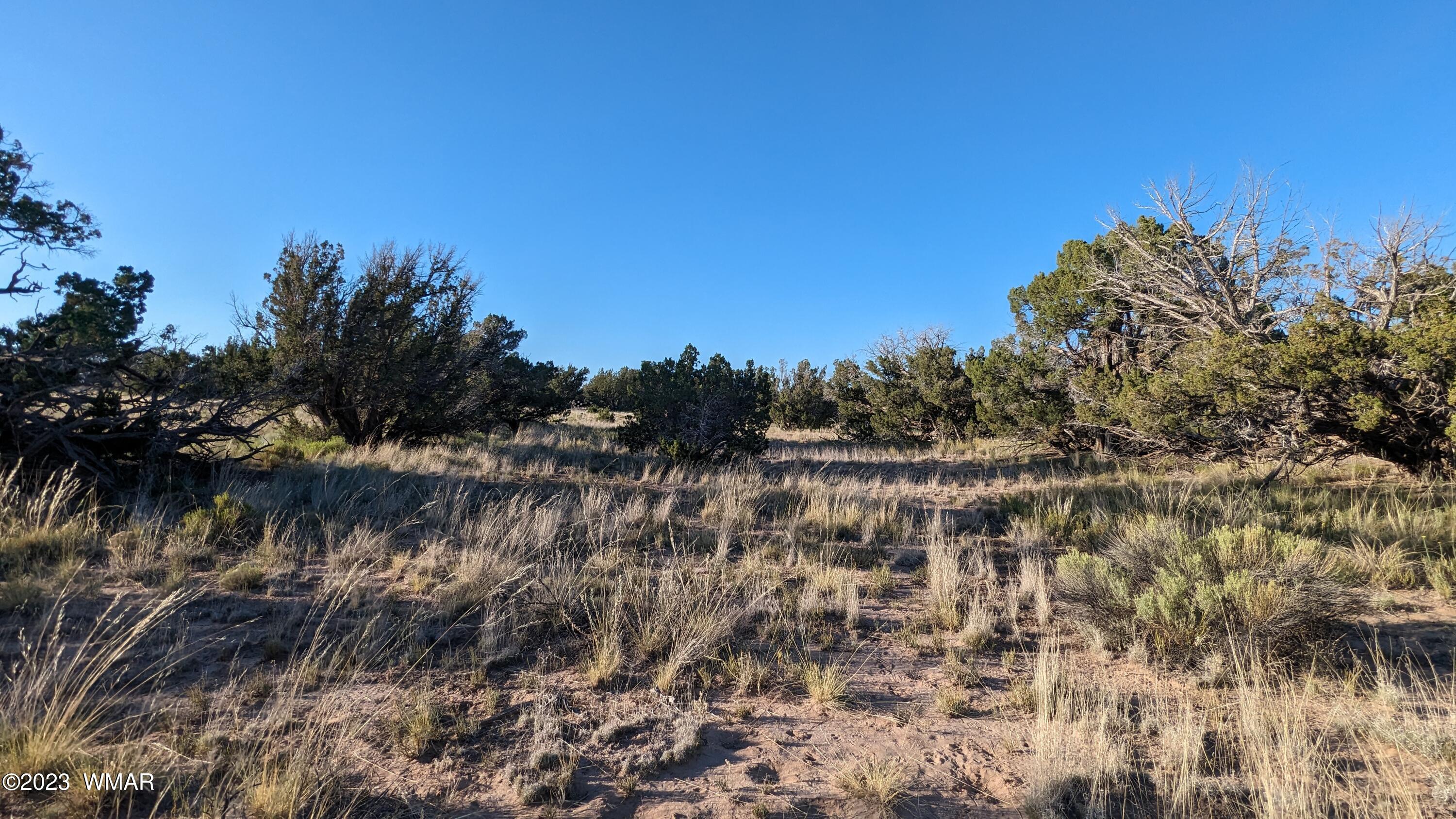 Lot 84 Horizon Ranch St. Johns, AZ 85936 - Photo 55 of 79