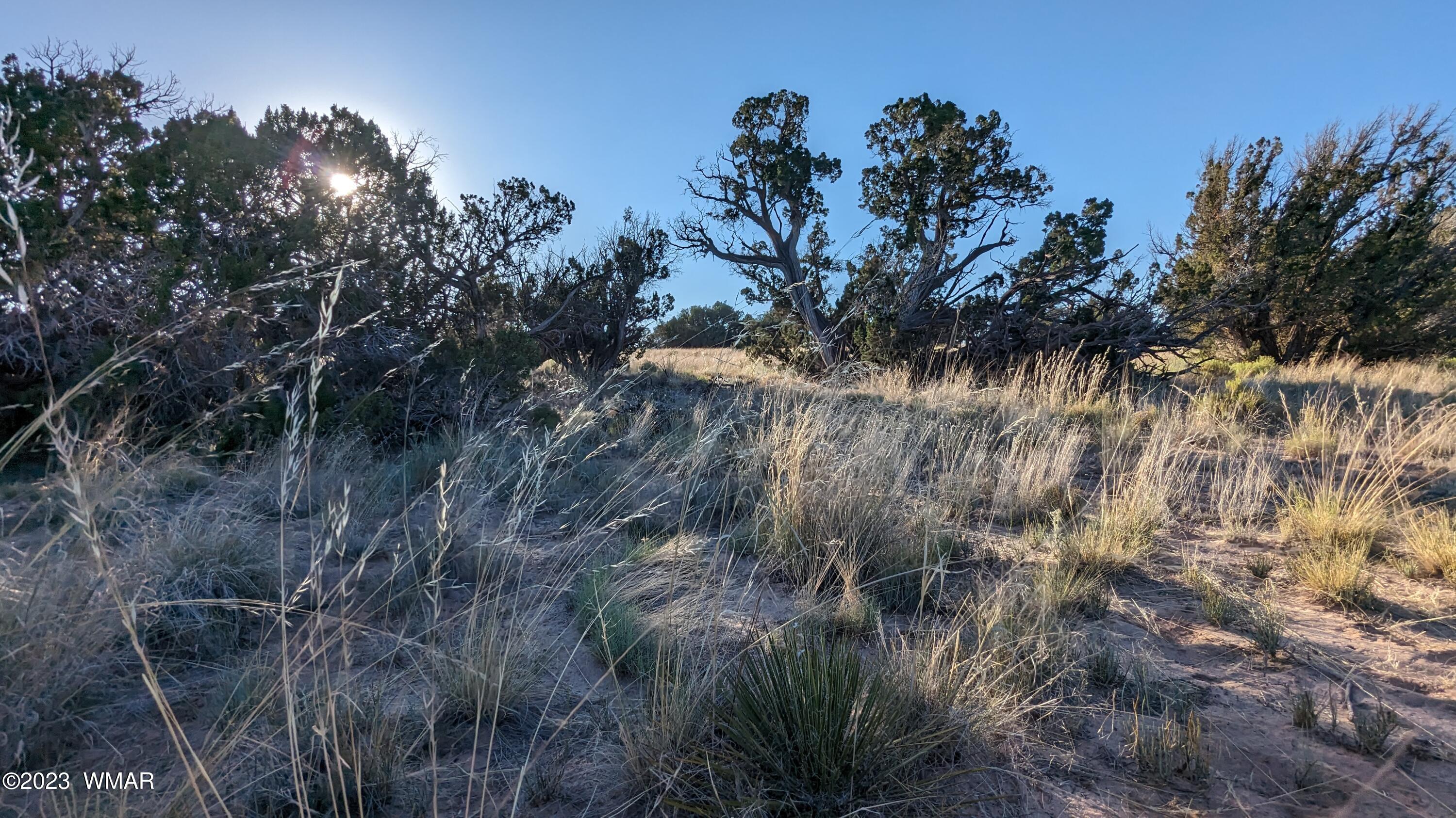 Lot 84 Horizon Ranch St. Johns, AZ 85936 - Photo 56 of 79
