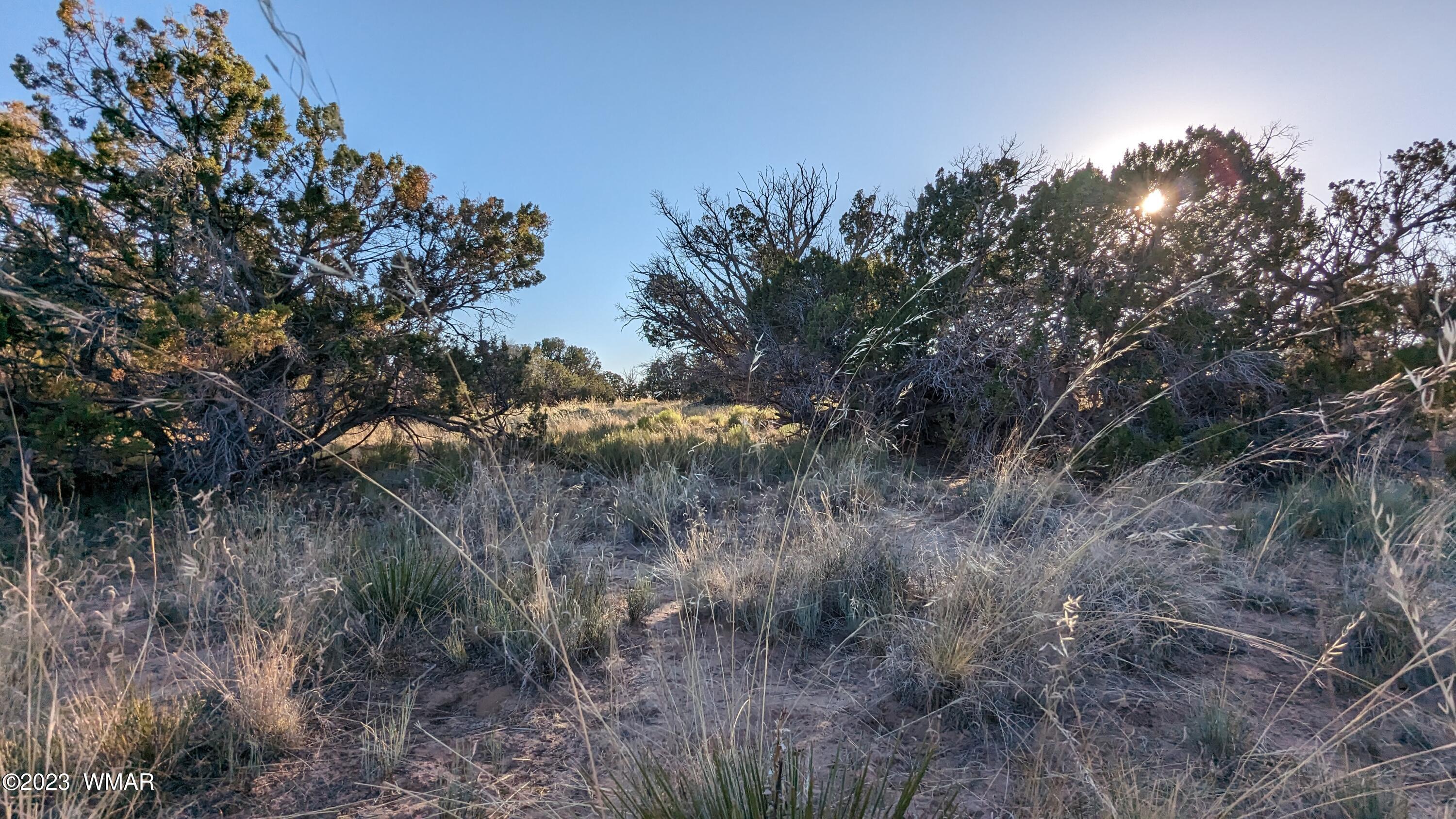 Lot 84 Horizon Ranch St. Johns, AZ 85936 - Photo 57 of 79
