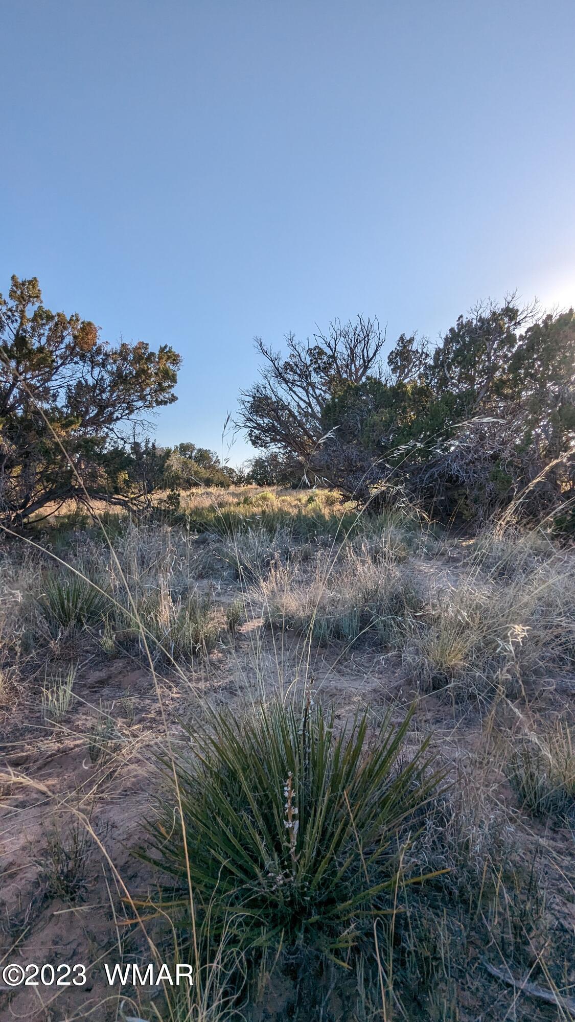 Lot 84 Horizon Ranch St. Johns, AZ 85936 - Photo 58 of 79