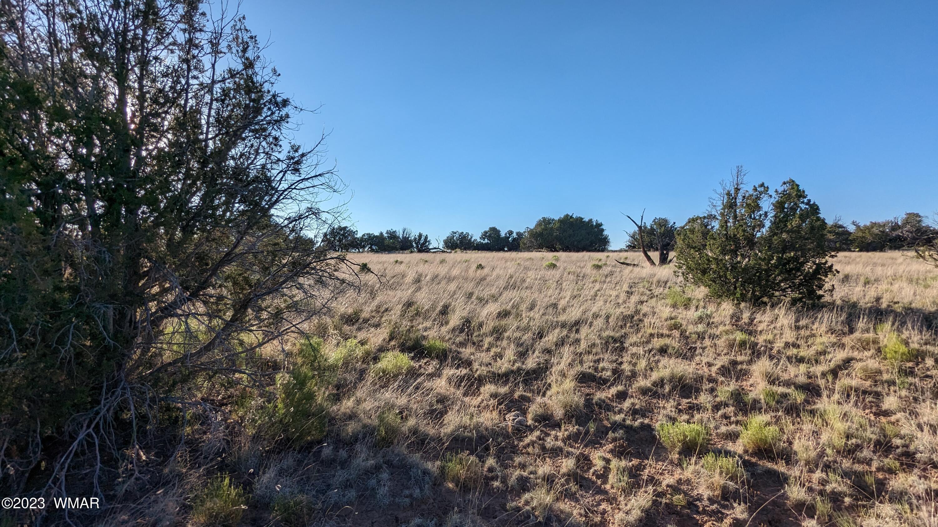 Lot 84 Horizon Ranch St. Johns, AZ 85936 - Photo 59 of 79