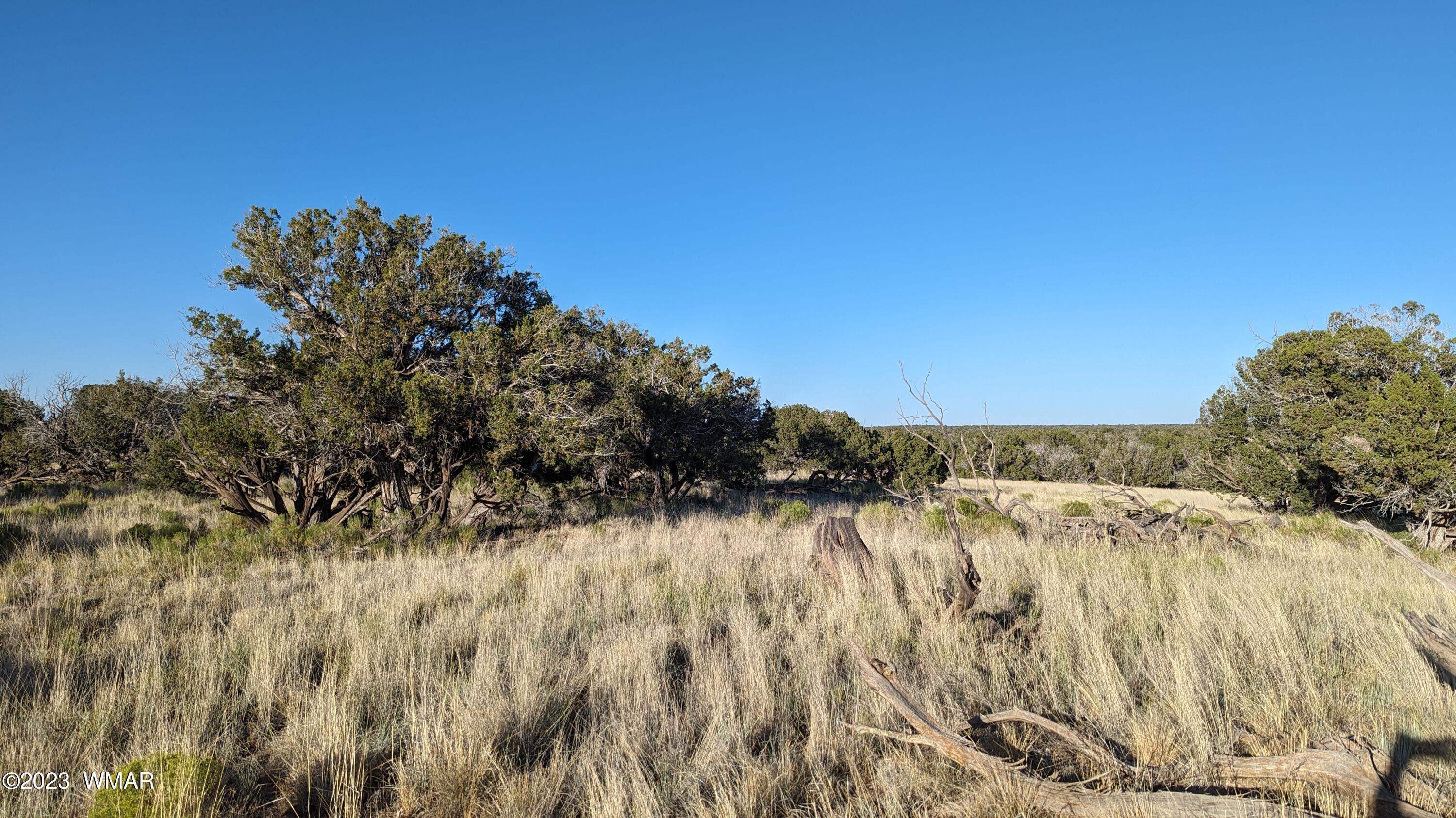 Lot 84 Horizon Ranch St. Johns, AZ 85936 - Photo 66 of 79