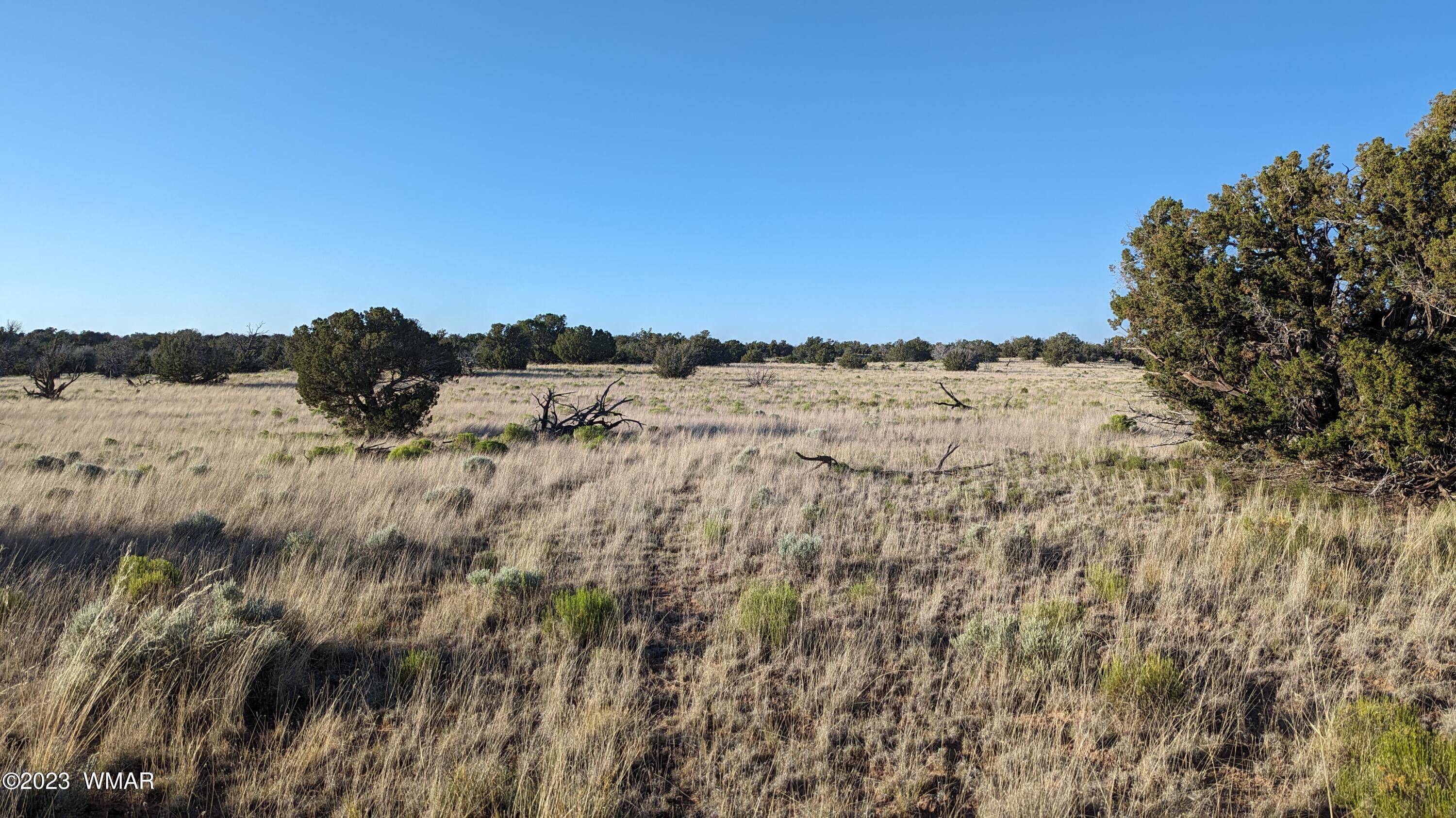 Lot 84 Horizon Ranch St. Johns, AZ 85936 - Photo 67 of 79