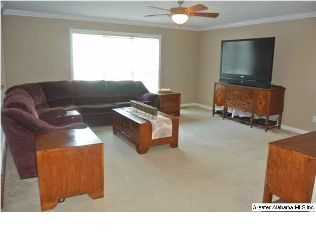 643 Murphrees Valley Road Springville, AL 35146 - Photo 3 of 32