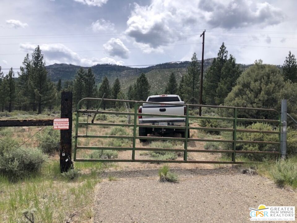 0 Ditch Road Markleeville, CA 96120 - Photo 2 of 14