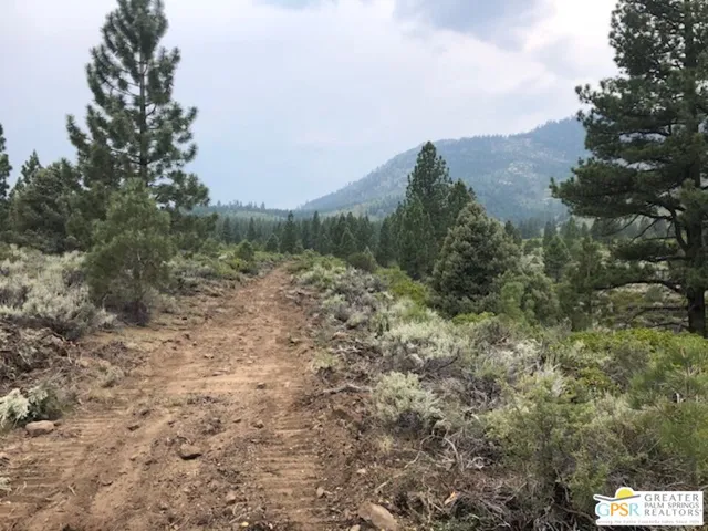 $270,000 | 0 Ditch Road, Markleeville, CA 96120