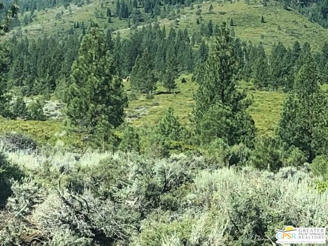 $270,000 | 0 Ditch Road, Markleeville, CA 96120