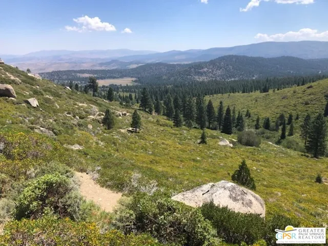$270,000 | 0 Ditch Road, Markleeville, CA 96120