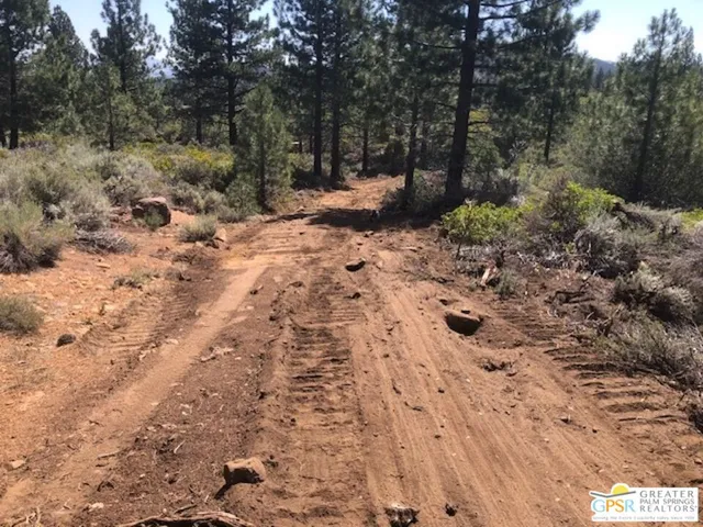 $270,000 | 0 Ditch Road, Markleeville, CA 96120