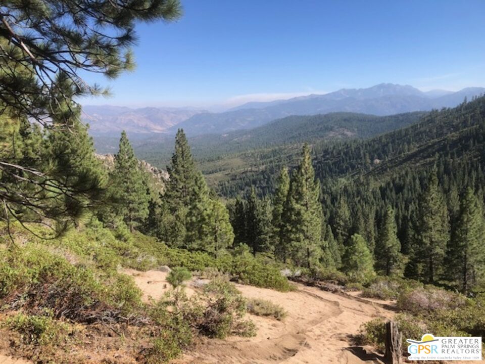 0 Ditch Road Markleeville, CA 96120 - Photo 8 of 14