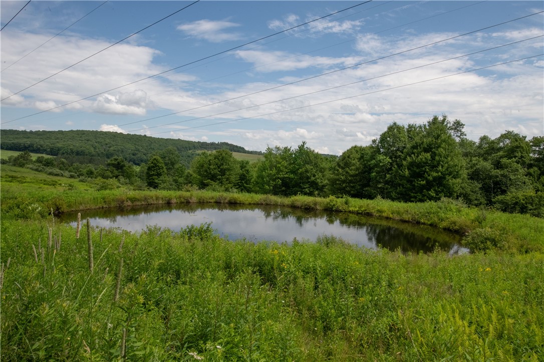 2690 Freer Hollow Road Franklin, NY 13856 - Photo 29 of 35