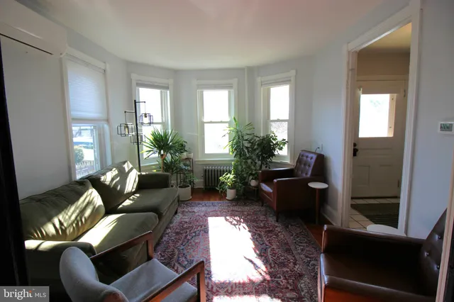 a living room with furniture and a potted plant
