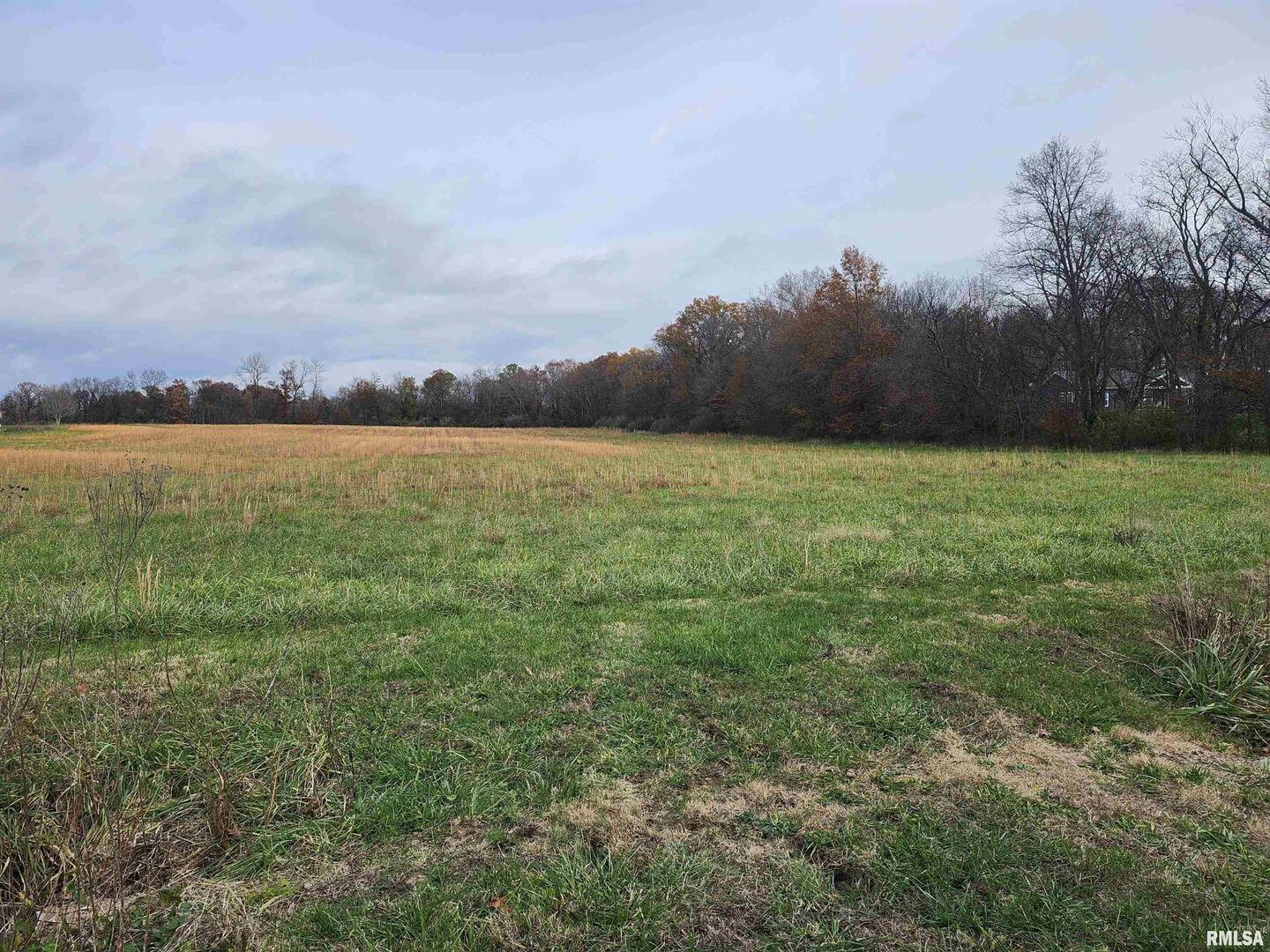 0 East Savanna Road Mount Vernon, IL 62864 - Photo 6 of 6